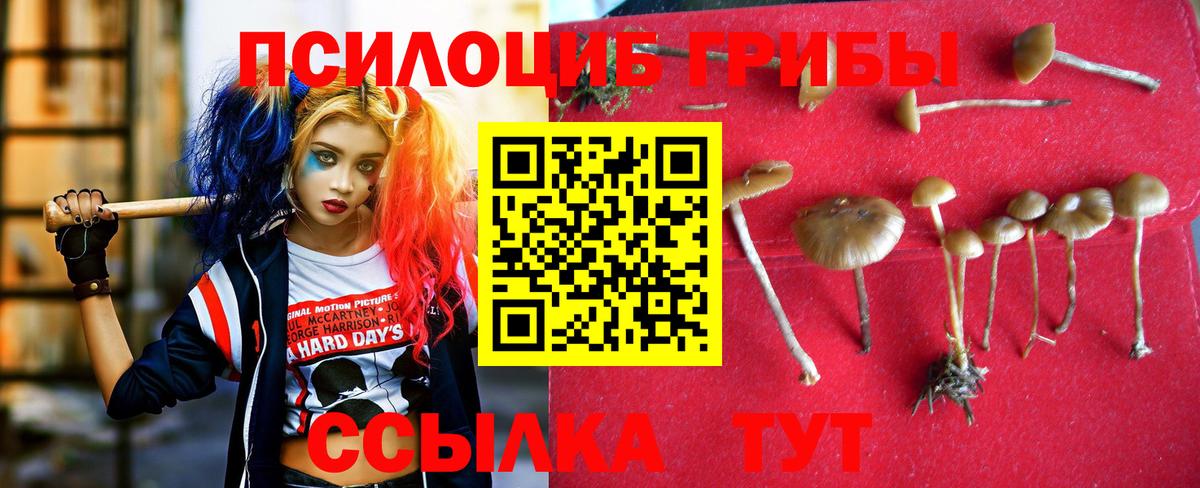 как найти закладки  Вход с VPN  Лесосибирск  Псилоцибиновые грибы Magic Shrooms 